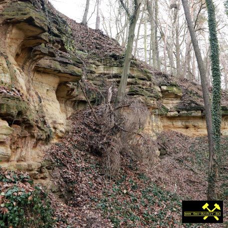 Sandsteinbruch Drossdorf bei Zeitz in Sachsen-Anhalt (D) 8. Dezember 2022 (3).JPG